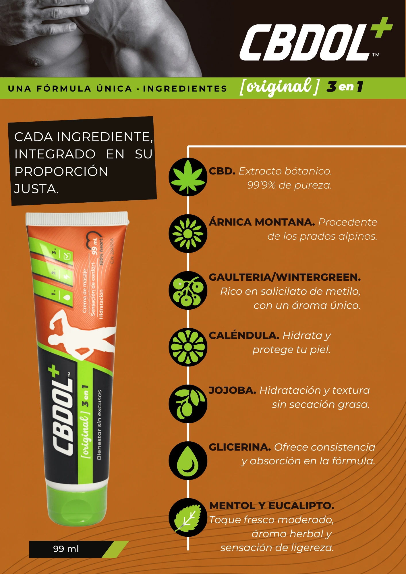Ingredientes de CBDOL PLUS Original: CBD, árnica, gaulteria, caléndula, jojoba, glicerina, mentol y eucalipto
