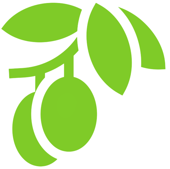 Jojoba